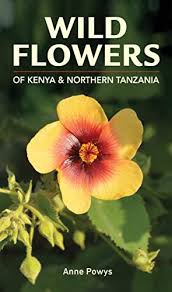 There are more than 870 species of flower fly (syrphidae) in north america. 26 Best Flower Identification Books Of All Time Bookauthority