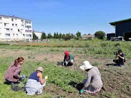 Reseau Cocagne On Twitter Filmage De La Tv Coreenne Au Jardin De Cocagne De Sevran 140 Paniers Bio Chaque Semaine Cultives Par Des Personnes En Insertion Du 93 Direction Lamri Guenouche Assoaurore