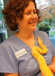 That's where exotic animal veterinarians come in. Exotic Pocket Pets