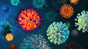 Image result for Virus