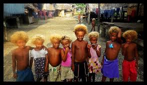 Blonde Hair Solomon Islands Black And Blonde Melanesian People Solomon Islands People