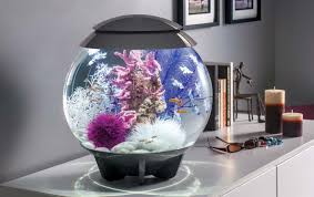 ♥ kursus cetak acrylic model lentur & model plat / kaku untuk membuat aneka macam : 10 Aquarium Terbaik Di Indonesia 2021 Bagus Cantik Untuk Di Rumah