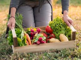 Organic và các xu hướng mỹ phẩm hữu cơ 'phủ sóng' trên toàn thế giới