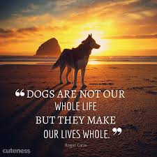Do You Agree Or Is Your Dog Your Whole Life Dog Quotes Beautiful Dogs Dog Person