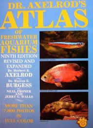 Atlas Of Freshwater Aquarium Fishes Pdf Freshwater Aquarium Aquarium Fish Freshwater Aquarium Fish