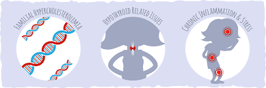 Check spelling or type a new query. A Closer Look Keto And Cholesterol Connection Impact More