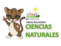 Ciencias naturales 21333 cuadernos de trabajo 1 de ciencias naturales. 1ro A 9no Libros De Zona Del Docente Hondureno Facebook