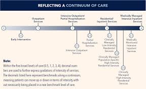 Level Of Care Certification