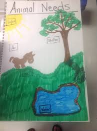 Pin By Trina Toalson On Animal Needs Science Anchor Charts Anchor Charts Science Life Cycles