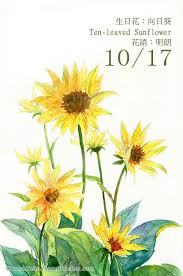每日一花10 1 haru hello watercolor lettering watercolor plants watercolor flowers