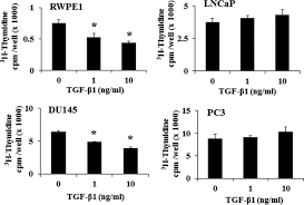 But there are some things that may mean you're more likely to get prostate cancer. Jund Is Required For Proliferation Of Prostate Cancer Cells And Plays A Role In Transforming Growth Factor B Tgf B Induced Inhibition Of Cell Proliferation Journal Of Biological Chemistry