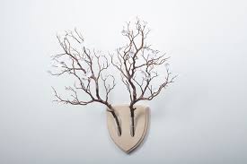 Forget Dead Animals Bring Your Walls To Life With This Plant Wall Trophy Flower Wall Plant Wall Ikebana