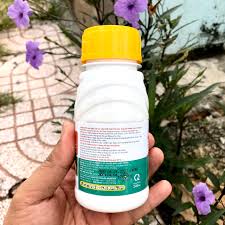 Chesone 370EC