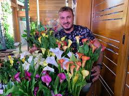 Copos De Leite Colorido Aprenda A Plantar Flor Em Casa E De Casa Gshow