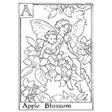 Adult coloring pages fairy coloring pages printable coloring pages coloring books coloring sheets black and white posters mermaid tinkerbell colouring pages : Top 25 Free Printable Beautiful Fairy Coloring Pages Online