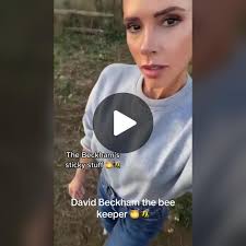David Beckham: The Passionate Bee Keeper