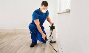 Our service includes a complete inspection of your home. Termite Treatment Inspection Ridquicktermitecontrol Com