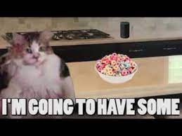 Brother Needs Fruit Loops Youtube