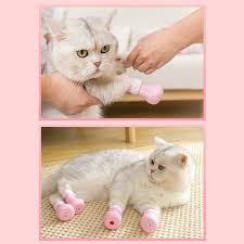 The disease gets its name because people contract it from cats infected with bartonella henselae bacteria. 4pcs Anti Scratch Cats Foot Shoes Boots Silicone Pet Grooming Scratching Restraint Booties