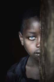 Israel by Trevor Cole