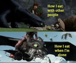 Image Result For How To Train Your Dragon Memes How Train Your Dragon How To Train Your Dragon How To Train Dragon