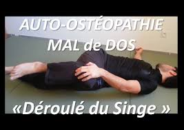 Auto Osteopathie Prevention Mal De Dos Deroule Du Singe Sports Massage Massage Tips Massage Business