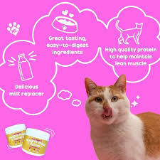 We did not find results for: Nutri Support Muscle Mass Gainer Free Gift Shopee Malaysia