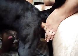 Insan Porno Videolar Kopek Porno Tup En Populer Sayfa 1