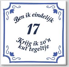 Tegeltje Spreuk 17 Jaar Ben Ik Eindelijk 17 Krijg Ik Zo N Kut Tegeltje Spreuktegels Cadeau 17 Jaar Kopen Gadgethouse