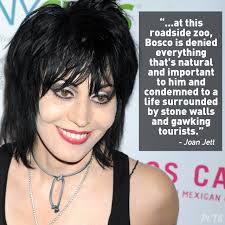 Music legend Joan Jett is speaking up for Bosco, a bear who's been held  captive at a roadside zoo in Pennsylvania for his entire life 😞 Join her  in urging Pymatuning Deer