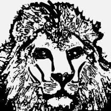 Maybe you would like to learn more about one of these? Lion Painting Painting Company Charlotte Nc Projects Photos Reviews And More Porch