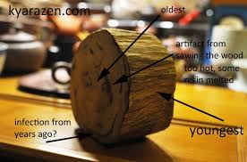 Oud, also known as agarwood, is the basis of some of the of the most world's exclusive perfumes. Age Of Agarwood And The Tree Kyarazen