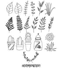 3 013 Vind Ik Leuks 22 Reacties Peggy Dean Thepigeonletters Op Instagram 39 I Wanted To Sh Botanical Line Drawing Bullet Journal Doodles Plant Drawing