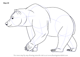 Simple Bear Drawing Migliori Pagine Da Colorare