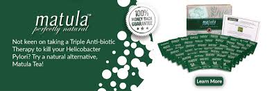 Helicobacter Pylori Natural Treatments Planet Naturopath