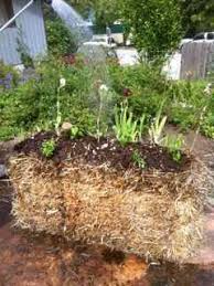 Alternatvie Vegetable Garden Designs Vegetable Garden Design Small Garden Design Straw Bale Gardening