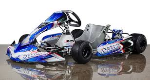 Bintelli karts offers commercial grade bumper go karts for sale that can be used at your racing track. How To Choose A Go Kart For Kids Kids Atv Sale Go Kart Kart Racing Go Kart Racing