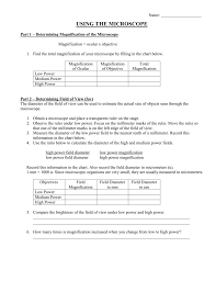 Using The Microscope