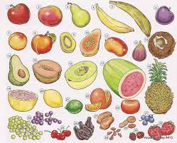 Fruit Dictionary For Kids Fruit List Fruits Online Fruit