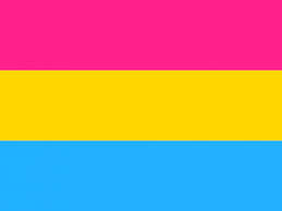 As adjectives the difference between demisexual and pansexual is that demisexual is (sexuality|of humans) sexually attracted to people only after a strong emotional bond has been formed while pansexual is sexually attracted or open to all people regardless of gender, gender identity, or sexual orientation. An Introduction To Bisexual And Non Monosexual Identities And Resource Guide