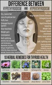 Pin On Health