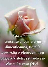 Pin Di Lina Roncari Su Aforismi Tra I Fiori Citazioni Sagge Anziani Divertenti Immagini Di Fiori