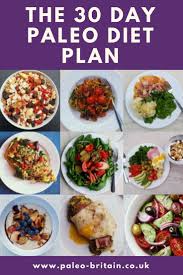 Paleo Diet Food Paleo Diet Food List For Beginners Paleo Diet Food List In T Paleo Diet Meal Plan Paleo Diet Meaning Paleo Meal Plan