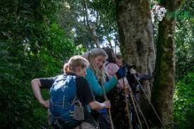 Kubwa Five Safaris - Travel & Tourism | EVINTRA