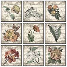 The Stupell Home Decor Collection French Botanical Illustrations By In House Art 9 Piece Canvas Wall Art Set Canvas Wall Art Set Canvas Wall Art Botanical Illustration