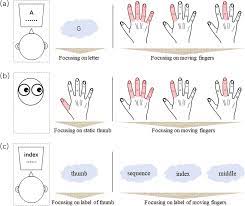 Improve students' letter formation skills by having them trace the letters with their fingers! Attentional Focus Modulates Automatic Finger Tapping Movements Scientific Reports