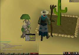If you've had some success flipping and are looking for a way to say thanks, consider donating! Psa Always Make Sure You Do Cacti On Your Farming Runs My First Pet Only Took 15 5m Xp 2007scape