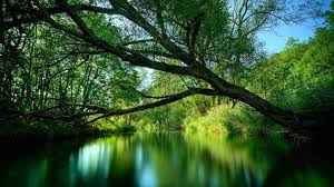 Via Http Hdw Eweb4 Com Out 483689 Html Hd Nature Wallpapers Nature Nature Wallpaper