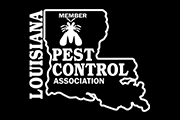 We focus on providing great customer service for your property, preventing all insects and pests in the area. River City Termite Pest Control Baton Rouge La Pest Management