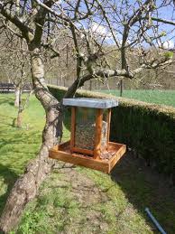 Vogelfutterspender Zum Aufhangen Bauanleitung Zum Selber Bauen Vogelfutterspender Vogelfutterhaus Bauen Vogelfutterhaus